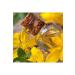 Dr. Plante St. John's Wort Oil - 50 ml - Buy Online on GoSupps.com