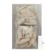 PureCanpati Squid Bone Cuttlefish Bone 500gr Broken and Small Squid Bone 500 Grams - Buy Online on GoSupps.com