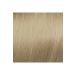 Elgon Get The Color Professional Hair Dye 100 Ml Ash Light Blonde 10.1 - Buy Online on GoSupps.com