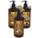 Ilgaz Naturix Organix Black Garlic Shampoo 2 Pieces 600 Ml + Anti Hair Loss Conditioner 500 Ml Care Set