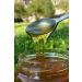 Come From The Village Pure Honey - 850 grams - Buy Online on GoSupps.com