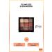 Note Cosmetics Flawless Eyeshadow Matte and Shimmer Powder Eyeshadow Palette - 01 Vivid Colors