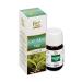 Bio Vitals Thyme Mint Eucalyptus Lavender Tea Tree Herbal Massage Oil Set of 5 - Buy Online on GoSupps.com