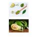 OKTIR Pure Cold Pressed Avocado Oil 100ml | Natural Moisturizer for Skin and Hair Care | Rich in Vitamin E - Buy Online on GoSupps.com