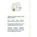 SHE VEC HI GIRLS BYE PORES - Anti-Acne and Anti-Blemish Arbutin 2% Niacinamide ZINC PCA 1% Serum 30 ml - Buy Online on GoSupps.com