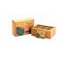 TEFF LIFE Teff Seed Tea 3 Boxes Original Teff Tea Tef Seed Tea - Buy Online on GoSupps.com