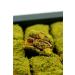 Antep Bazaar Turkish Delight-Pistachio Baklava Turkish Delight-300 gr - Buy Online on GoSupps.com
