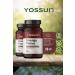 yossun ENERGY FOCUS Softgel Supplement Containing Korean Ginseng - Buy Online on GoSupps.com