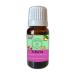 TiBaYa Nail Care Oil 10 Ml "Nail Care Oil Containing 13 Oils" - Buy Online on GoSupps.com