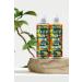 Faith In Nature Natural Refreshing Shampoo&Conditioner Grapefruit&Orange - Buy Online on GoSupps.com