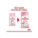 Kitten 4 kg Kitten Cat Food - Buy Online on GoSupps.com