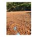 Nactumu Direct Harvest 2024 August Harvest Ordu 1st quality Shelled Hazelnuts - 500gr - Buy Online on GoSupps.com