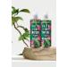 Faith In Nature Natural Revitalizing Shampoo&Conditioner Dragon Fruit - Buy Online on GoSupps.com