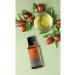 Talya Jojoba Oil Cold Pressed 0 Pure And Natural 20 ml - Buy Online on GoSupps.com