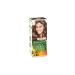 Garnier Color Naturals Hair Dye 6 Dark Blonde - Buy Online on GoSupps.com