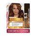 L'Oreal Paris L'or al Paris Excellence Intense Hot Chocolate Hair Dye 5.3