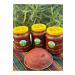 Eyup Efendi New Crop Tomato Paste - 2 Kg - Buy Online on GoSupps.com