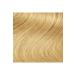 MAXX DELUXE Golden Series 24k Gold Content Tube Dye and Hair Care Serum (2X50 ML) - Buy Online on GoSupps.com