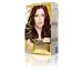 MAXX DELUXE Golden Series 24k Gold Content Tube Dye and Hair Care Serum (2X50 ML)