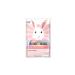 Epielle Rabbit Character Face Mask