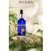 INVIGRA Yellow Water Syriac Serum Hair and Beard Growth Serum Dermaroller - Buy Online on GoSupps.com