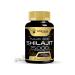 wellness Wellnees LabsRX Shilajit Pure Himalayan Organic 15 000 Mg 120 Veggie Capsules