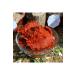 Hatay Local 1 Kg Hatay Homemade Organic Additive-Free Sweet Pepper Paste - 1kg