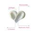 axodine Anti-Spot Tone Equalizing Skin Whitening Care Cream 50 ml - Buy Online on GoSupps.com