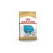 Royal Canin French Bulldog Puppy Puppy Food 3 Kg - Petshopundan
