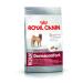 Royal Canin Dog Ccn Medium Dermacomfort Dog Food 12 Kg - Buy Online on GoSupps.com