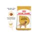Royal Canin Dog Golden Retriever Dog Food 12 Kg
