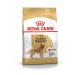 Royal Canin Dog Golden Retriever Dog Food 12 Kg - Buy Online on GoSupps.com