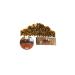 Derya Eren Ceylon Cinnamon Cinnamon Bark 100g - Buy Online on GoSupps.com