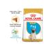 Royal Canin Pug Breed Junior Puppy Food 1.5 kg