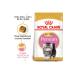 Royal Canin Persian Breed Special Kitten Cat Food 2 Kg