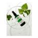 ay&di natural CLEANING REVIVING EFFECTIVE TONIC - Buy Online on GoSupps.com