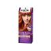 Eye-Catching Colors in the Palette Hair Dye No: 7.77 Intense Copper - Buy Online on GoSupps.com