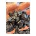 Y rem Raisins Black Raisins 1 Kg - Buy Online on GoSupps.com
