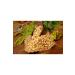 Orange Nuts Lux Mixed Snacks 500 gr - Buy Online on GoSupps.com