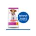 Hill's SCIENCE PLAN Chicken Small and Mini Breed Puppy Food 1.5 Kg - Buy Online on GoSupps.com