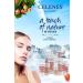 Celenes by Sweden Cloudberry Cleansing Gel 250ml Dry/sensitive - Buy Online on GoSupps.com