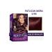 Wella Koleston Kit Eggplant Purple Set 3.66 - Buy Online on GoSupps.com