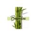 Pantene Miracles Bamboo & Biotin Long and Strong Series Mask 160 Ml - Buy Online on GoSupps.com