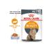 Royal Canin Pouch Jelly Hair Skin Sensitive Cat Food 85 gr * 12 Pieces - Buy Online on GoSupps.com