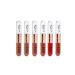 zce Rose 6-Piece Duo Double-Sided Lip Gloss Permanent Lipstick Set - Lip Oil & Lip Gloss
