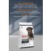 Reflex Lamb Rice Adult Dog Foof 10 Kg - Buy Online on GoSupps.com