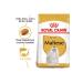 Royal Canin Maltese Bichon Maltais Dog Food 1.5 Kg - Buy Online on GoSupps.com