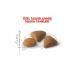 Royal Canin Savour Exigent Adult Cat Food for Picky Cats 2 Kg - Buy Online on GoSupps.com