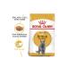 Royal Canin British Shorthair Adult Cat Food 2kg - Buy Online on GoSupps.com
