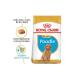 Royal Canin Dog Bhn Poodle Junior Dog Food 3 Kg